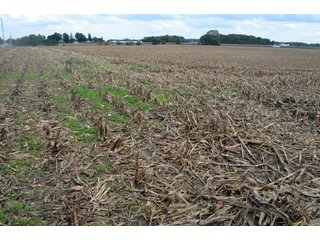 Property photo 19 - EHLE FARMS AUCTION - 118+/- ACRES IN 9 TRACTS IN ALLEN COUNTY, INDIANA